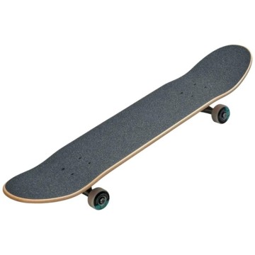 Element Galaxy Gates Complete Skateboard (8"|Teal)